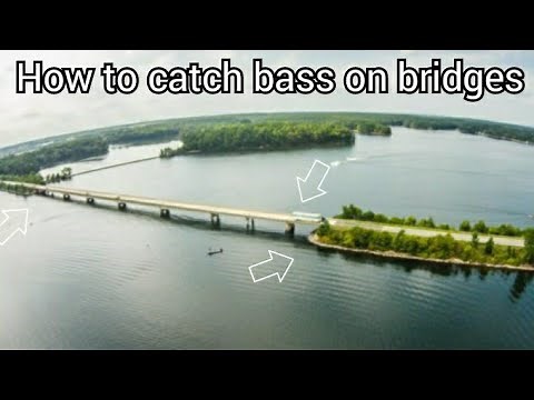 How to catch bass on bridges (Lake Norman)
