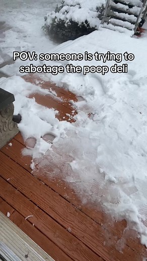 Poop Bagel Mystery at Poop Deli!