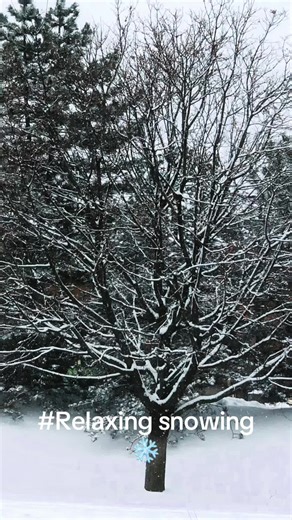 Samangan21 on TikTok