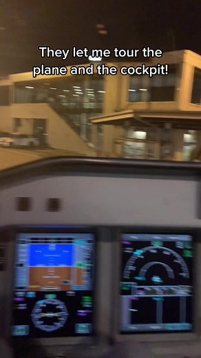 Exploring the Cockpit of an American Airlines Plane