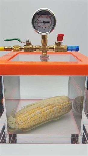 Vacuum vs Corn - See what happens?
