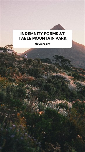 SANParks has announced that indemnity forms and Digital ID Scanning. will be introduced in certain sections of Table Mountain National Park. The areas affected include Oudekraal, Silvermine, Tokai Picnic Sites and Newlands Forest. Visitors may need to complete one indemnity form per vehicle or group — with ID numbers required for locals and passport details recorded for international guests. | Newsroom ZA