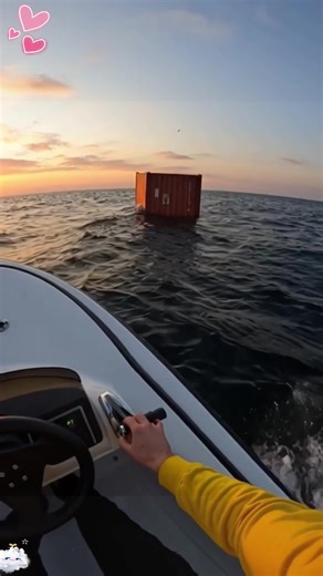 Maritime container blind boxes#sea#container#Blind box#usa#fyp