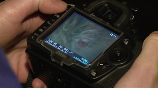 Freak Encounters S01:E01 - Ahool