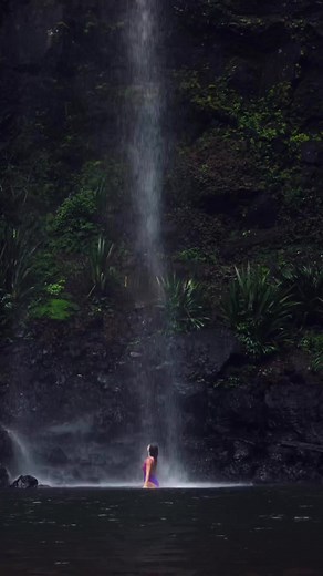 Looking for a breathtaking natural wonder to explore? Look no further than Twin Falls in Springbrook National Park, QLD! Twin Falls is a spectacular waterfall that cascades over two tiers, plunging 80 meters into a deep pool below. This idyllic spot is surrounded by lush rainforest, with a network of walking trails that wind through the trees and lead to other stunning waterfalls and lookouts. If you're planning a trip to Springbrook National Park, don't miss the chance to experience the wonder 