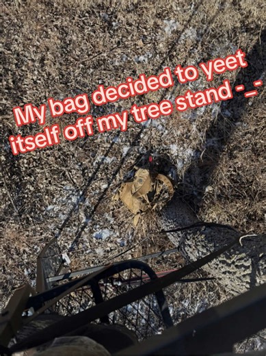Tree stand problems 🤦‍♀️ 1. At least the pack fell before crunch time and 2. At least it wasn’t me that fell… jk kinda wish it was 👀 💀 🤣 4 hours sitting in 15* wind and didn’t see shit 🦌 #treestand #hunting #whitetaildeer #girlswhohunt #archery