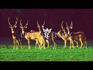 Django Django - First Light (Ghost Culture Remix)