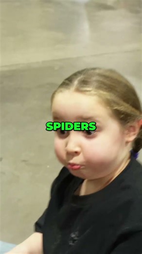 Green Tree Boa Adventure Awaits #shorts