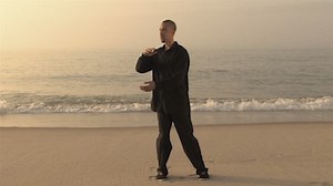 Free Qigong TYB Video - Tai Chi Foundation Inc.