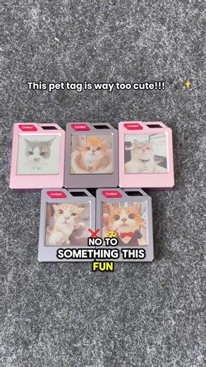 Adorable Photo Tag for Your Pet's Collar