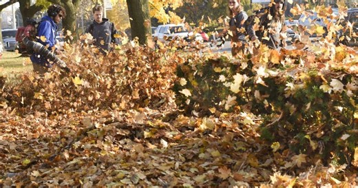 Leaves piling up? Here’s when Oakville’s loose leaf collection program begins