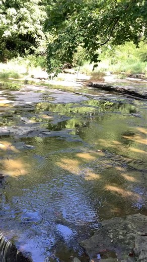 12K views · 136 reactions | Monument Monday  Anderson Falls, Bartholomew County Indiana | YES Cinema and Conference Center | Facebook