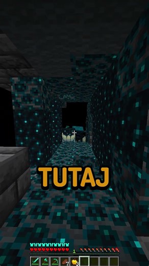 MINECRAFT ALE MÓJ KOLEGA JEST ULTRA MIŁY!!!