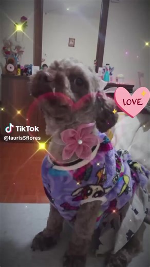 Videos de laura flores (@laura.flores2094) con “sonido original - laura flores”