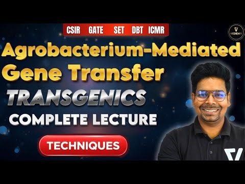 Agrobacterium Mediated Trasfer | Transgenics| L15 | Complete Lecture Techniques | Dr. Virendra Singh