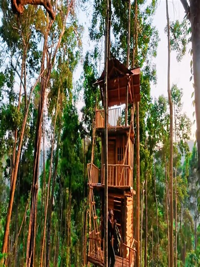 Essential Tips for Solo Camping and Survival Skills