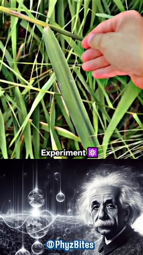 POV: Your Physics Teacher Goes FULL SIGMA MODE 🇺🇸⚡ | USA Edition #shorts #sigmaphysics #physics