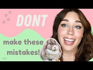 10 Mistakes Rabbit Owners Make!