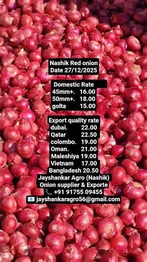 27 December 2025 🧅 New Season Red Onion Now Available Export Quality Best Competitive