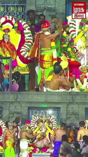 திருப்போரூர் கந்தசுவாமி திருக்கோயில் மாசி பிரம்மோற்சவ பெருவிழா திருக்கல்யாண உற்சவம் | #shorts