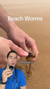 Only in Australia 😳 #beachworms #sandworm #safety #australia | Doctor Myro