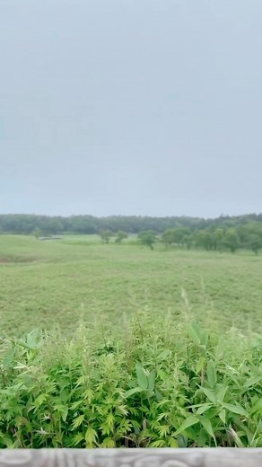 北海道知床🌿擁有日本最原始的天然美景，未受人為侵擾、保留純粹山林，被列為世界自然遺產！散步木棧道一覽知床連山☘️深入櫻之瀑布，見證櫻鱒躍上瀑布🐟還有經典知床五湖為你帶走炎熱暑氣～#線控匠玩 #現場實拍 #日本 #北海道 #知床 #japan #凱旋旅行社 #巨匠旅遊 #artisantour #artisantraveler | 凱旋旅行社(巨匠旅遊)