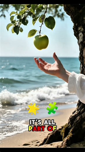 Gravity Explained: The Force That Creates Order in the Universe #spacescience #gravity #usashorts