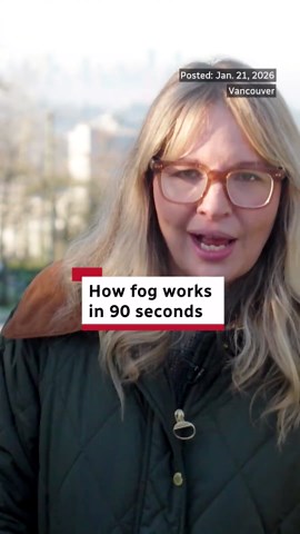 Whether you call it radiation fog, ground fog, valley fog or a temperature inversion, it all comes down to the same physics: the atmosphere flipping upside down. CBC’s Johanna Wagstaffe breaks down how a high-pressure system can turn our valleys into bowls of clouds. #fog #weather #vancouver #climate #cbcnews