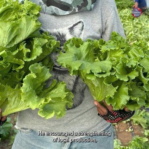 The Cambodian Ministry of Agriculture has assured the public that the country has sufficient domestic production to meet food security needs, despite a total suspension of fruit and vegetable imports from Thailand beginning today. | The Cambodia Daily