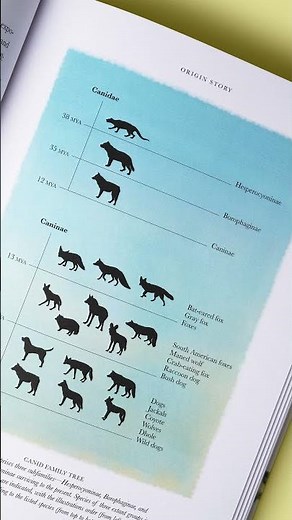 Wolf: The Illustrated Biography
