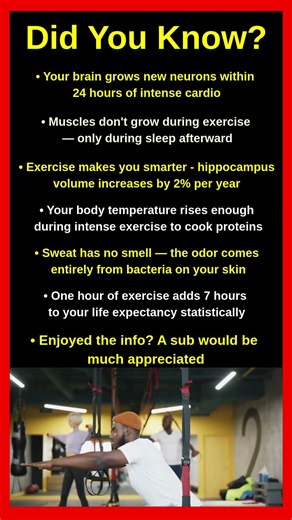 What Actually Happens To Your Body When You Exercise 💪🔬