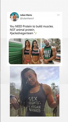 POV: You said ‘but where do vegans get protein?’ 🤡💪🌱#VeganProtein #GymMemes #FunnyMemes #PlantPower