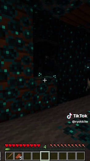 Warden Girl: Textura para Minecraft Java 1.21