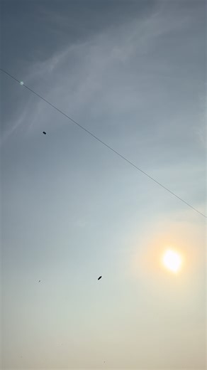 Supporting Orphanages in Pakistan: A Call to Action