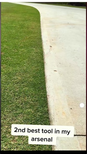 Crispy edges and tight trimming. Ditch the string trimmer, this is a game changer!