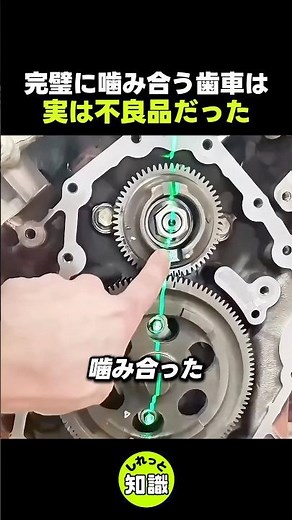 歯車の隙間に隠された生存戦略