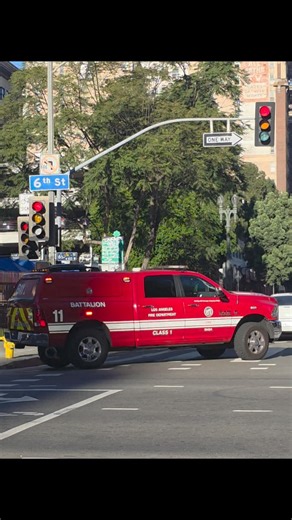 Eagle Emblems And Graphics on Instagram: "LAFD BATTALION 11 www.eagleemblems.com"