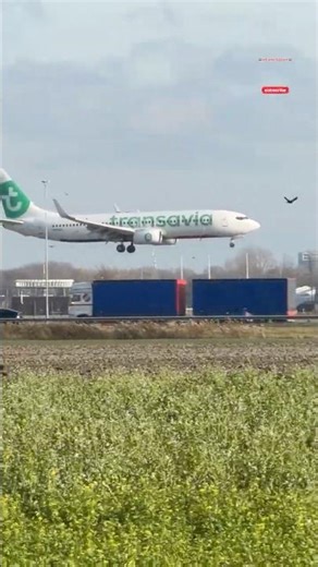 BOEING 737-8K2 TRANSAVIA CATANIA TO AMSTERDAM LANDING SCHIPHOL AIRPORT PHHZG #automobile #aviation