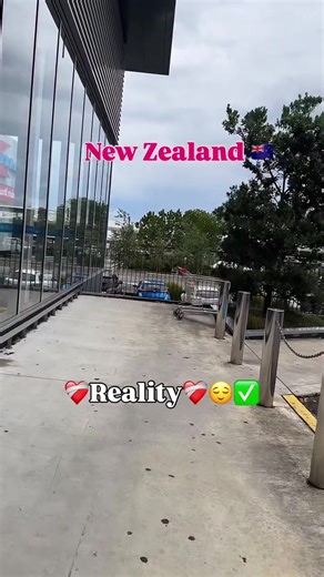 Funny Life Abroad in New Zealand: Auckland Adventures