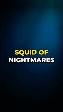 Colossal Squid: 19m Monster?