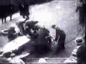 飞翔的曼图亚人诺沃拉里