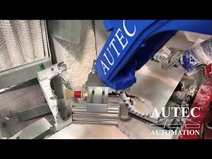 AUTEC: In Mold Coating + Release