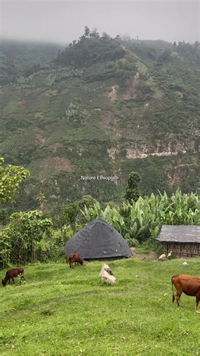 Exploring Ethiopia's Stunning Nature Scenery