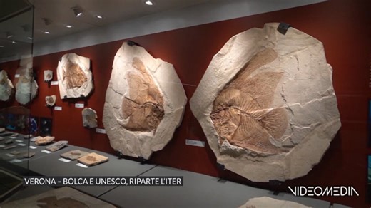 VR VERONA _ BOLCA E UNESCO, RIPARTE L_ITER_TGVM_20260124