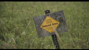 7.4K views · 149 reactions | How can Cornell make an impact for birds...