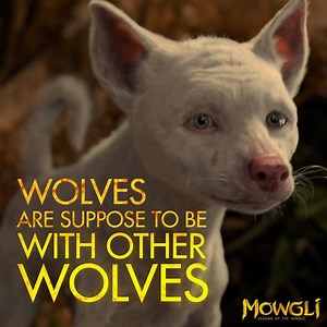 #Bhoot speaks his truth. Catch him in #Mowgli today! Now available on #Netflix and in select theaters. | Mowgli