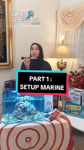 Cara-Cara Setup Aquarium Marine Untuk Pemula!