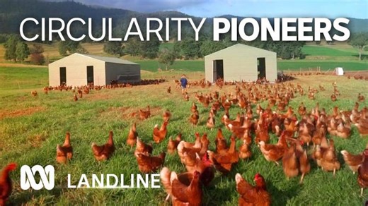 Bega s bid to become a circular economy to reduce waste ♻️ 🐔 🐄 🥛🧀 🗑️ | ABC Australia | Kylie Flament