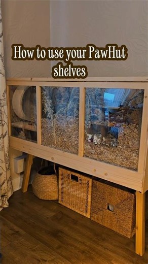 DIY Hamster Platforms: The Best Way to Use PawHut Shelves #ethicalhamstercare
