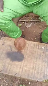 21K views · 311 reactions | Always check the Comment Section for the...